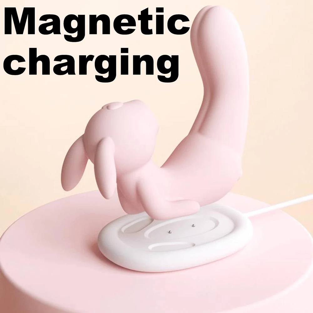 Wiederaufladbarer Klitorisvibrator mit 2 Motoren für Frauen, wasserdicht, leise, wiederaufladbar, für Klitoris und Nippel_voghion.com