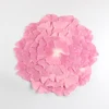 Rosa tenero