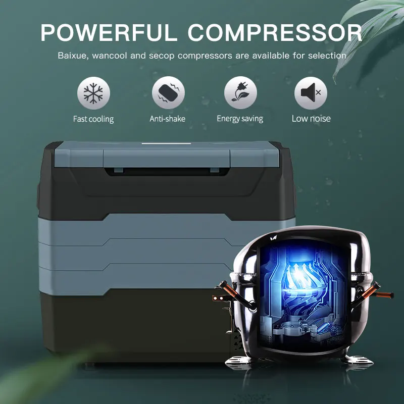 WAYCOOL TE55 50L 12V/24V AC100 ~ 240V индивидуальный автомобильный холодильник для автомобильного аккумулятора с компрессором кемпинга и автомобилей