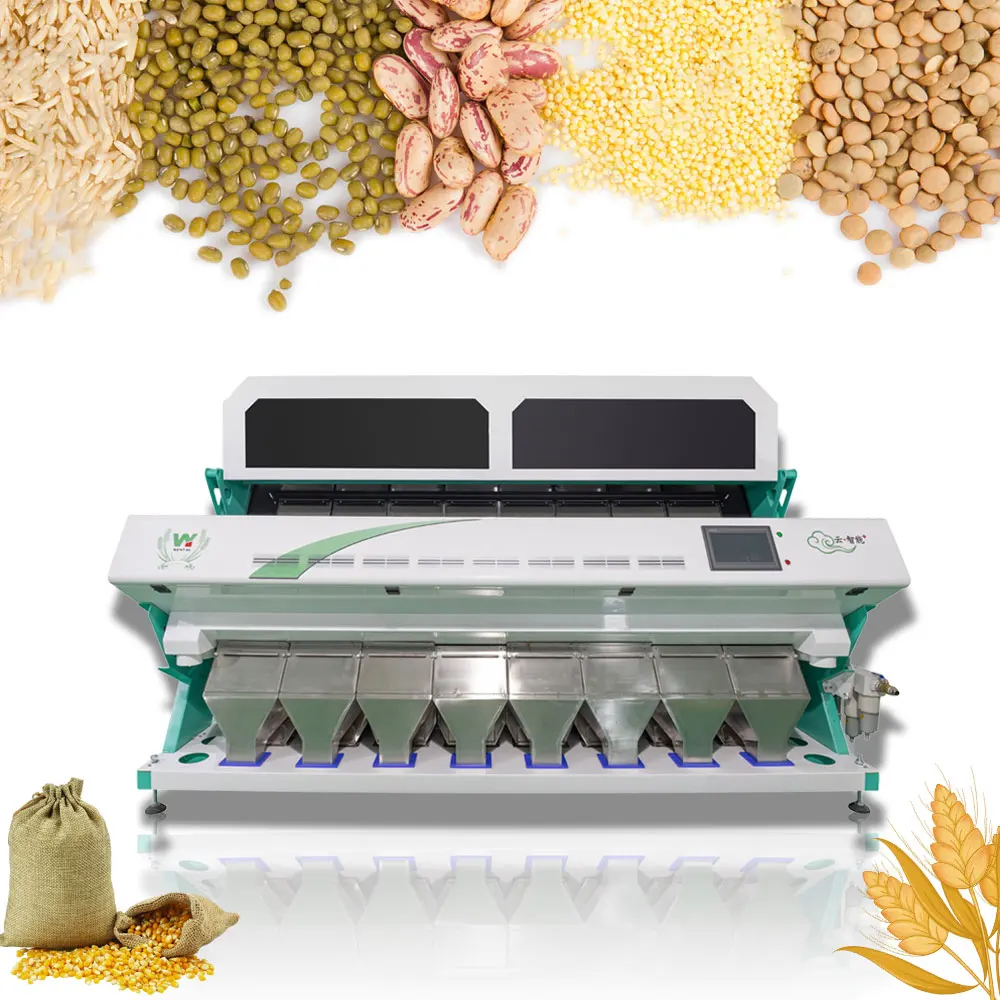 Wenyao Cost-Effective Hazelnuts Nut Color Sorter Machine