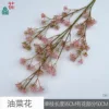 Flor de colza CM rosa