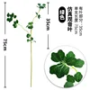 2-forked Guanyin leaves, green