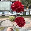 Offre spéciale : 2 têtes d'hortensia Xiyan rouge.