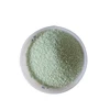 Menthe