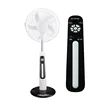 Rechargeable version