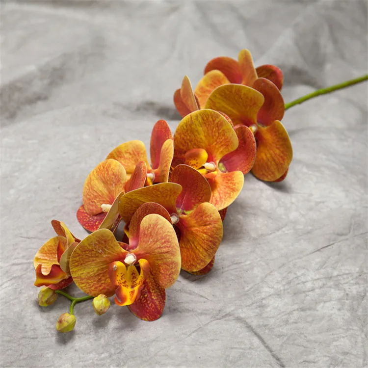 Cheap Wedding 9 Heads Real Touch Latex White Orchid Artificial For Arrangement Buy Orchid