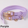 Purple Collar