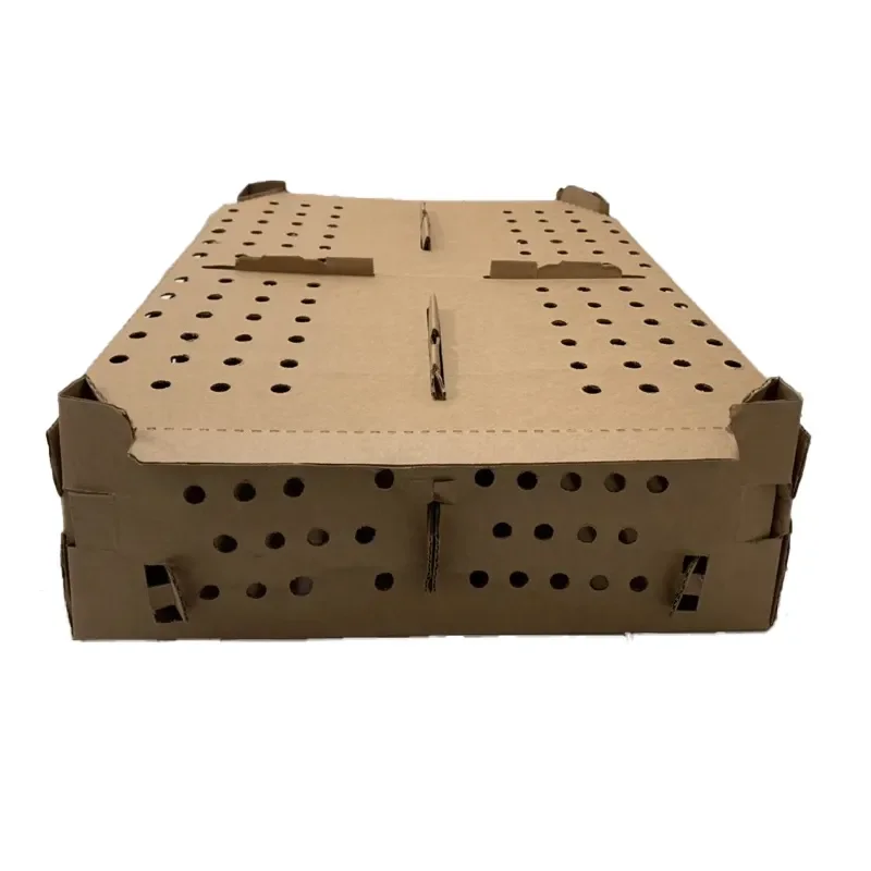 Factory Wholesale Quality Custom Design Corrugated Cardboard Live Baby Chicken Transport Boxes Carton Chick Box