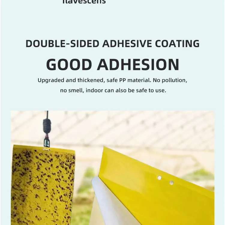 Customized double-sided yellow sticky insect board with strong adhesion to capture pests, outdoor small flying insect trap