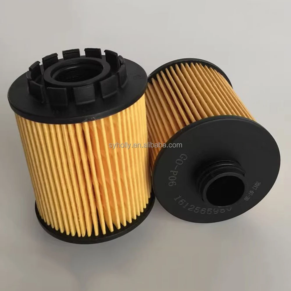 Large Ready Stocks High Quality Replacement Oli Filter 9807989080 1612581780 1612565980