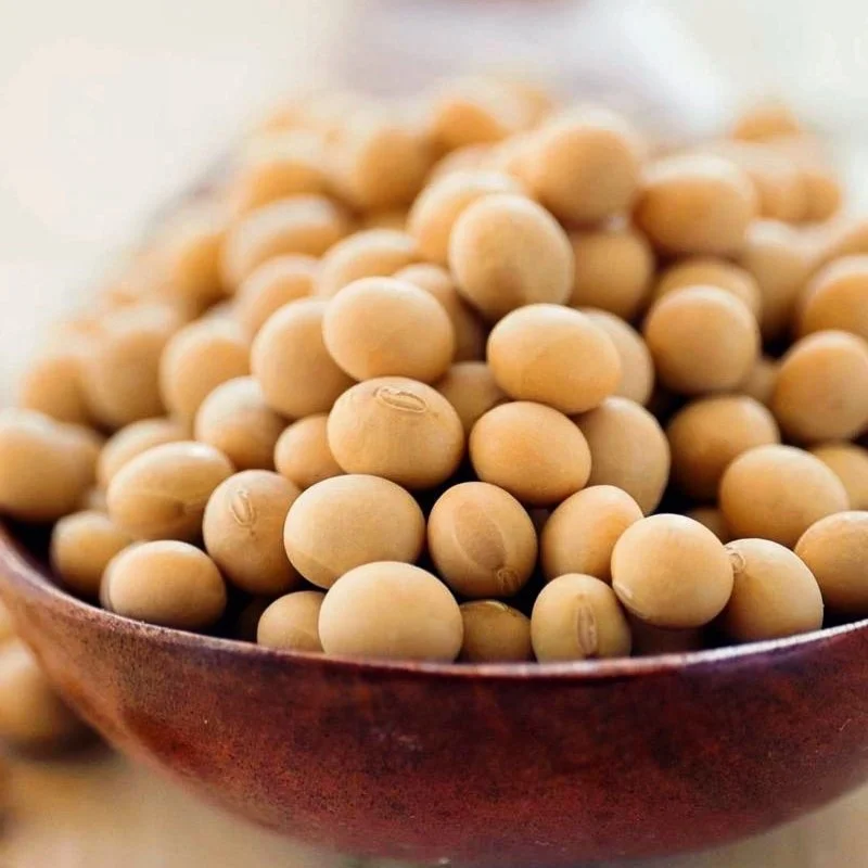 frozen organic green soybean best price