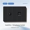 Satellite and TEL socket