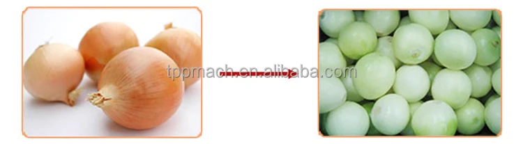 Automatic green onion skin peeler industry sale onion peeling machine