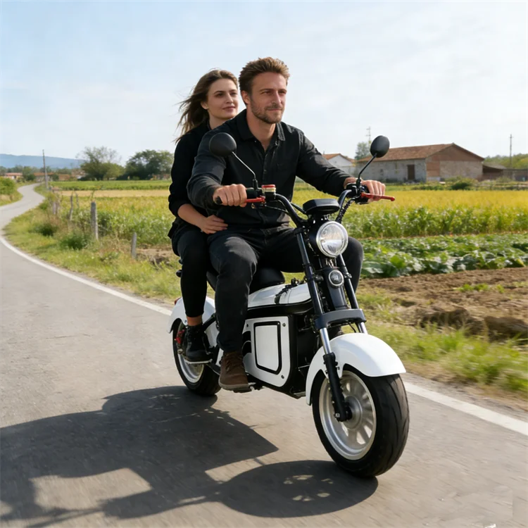 Electric Motorcycle Japan Electric Motorcycle with EEC E Scooter
