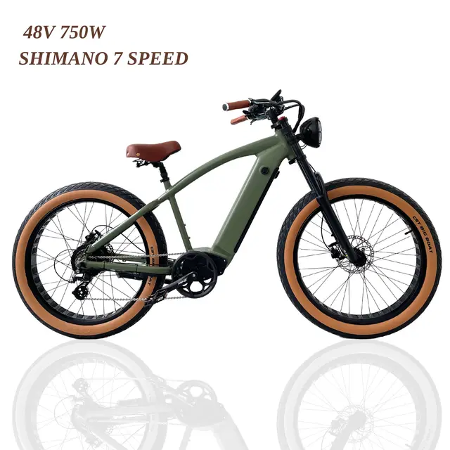 750w rear bicicleta electrica barat sepeda listrik mountain vintage ebike bicycle bike electric fat tire fatbike cycle for man