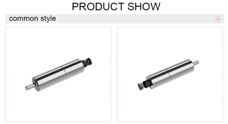 High Precision 42mm Planetary Metal Gearbox 12v 24v Dc Gear Motor For Medical Device