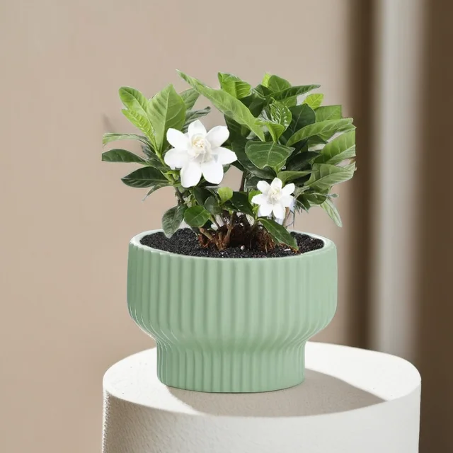 High-End Nordic Style Ceramic Pots Plastic Ceramic Flower Pot Design for Hanging Succulent Butterfly Orchid Wholesale