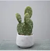 Verde#1