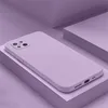 Púrpura