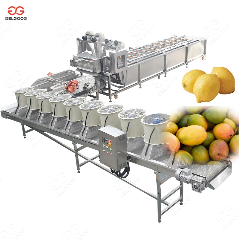 Vegetable Dryers, Vegetable Washing Line