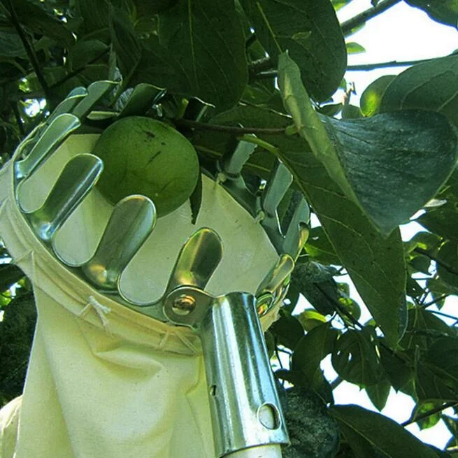Металлический сборщик фруктов, удобный сборщик фруктов для садоводства, инструменты для сбора яблок и персика
