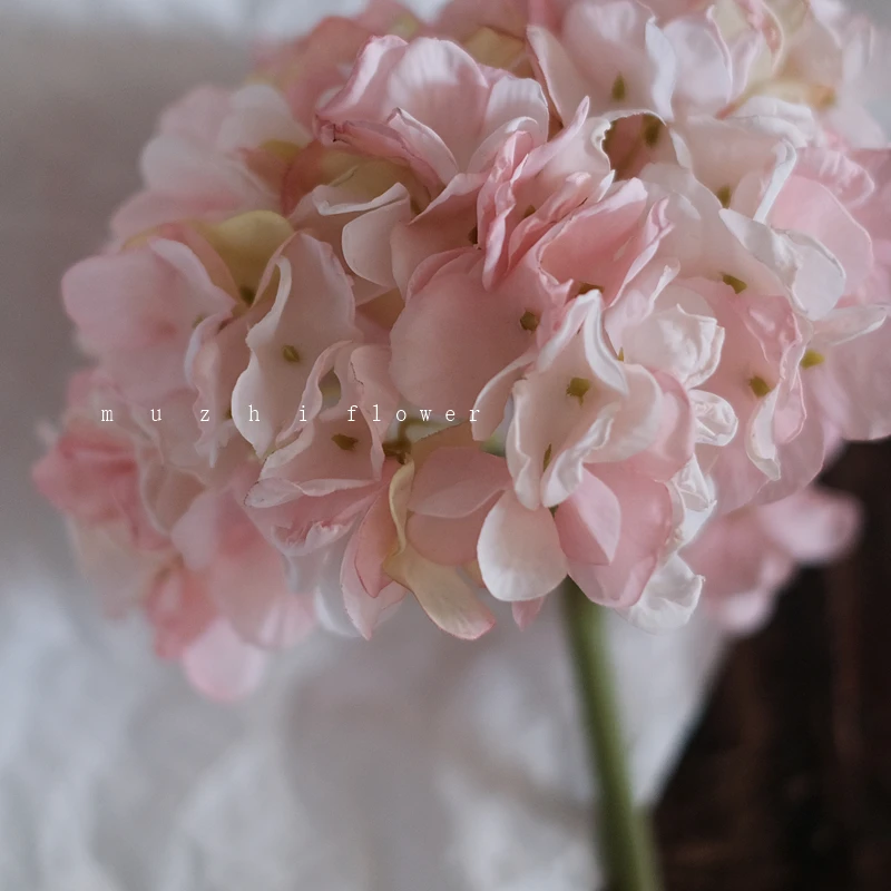 DSCF3788_800_