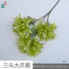 Three-headed Giant Claw Chrysanthemum XH Green
