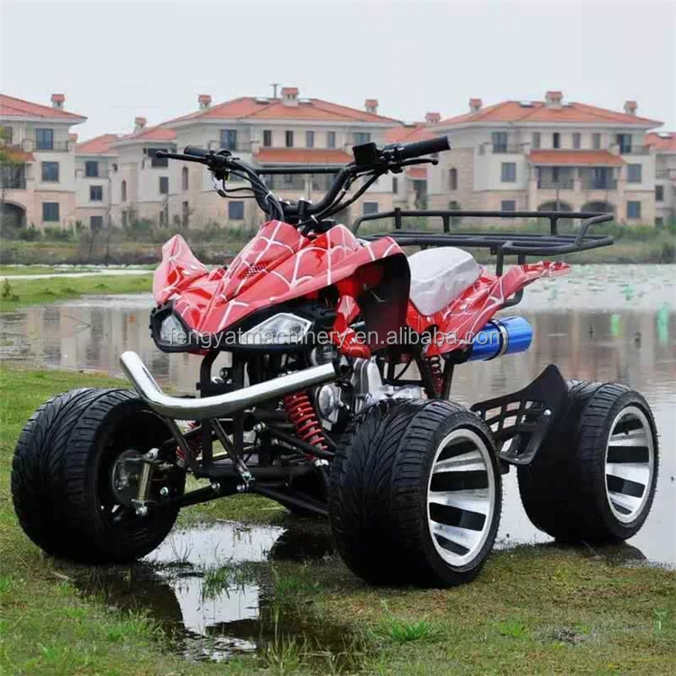 FENGYAT 2 Stroke 49cc Kids Dirt Bike Db10sa With Ce