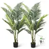 Palm Tree - 2 Pack 5ft