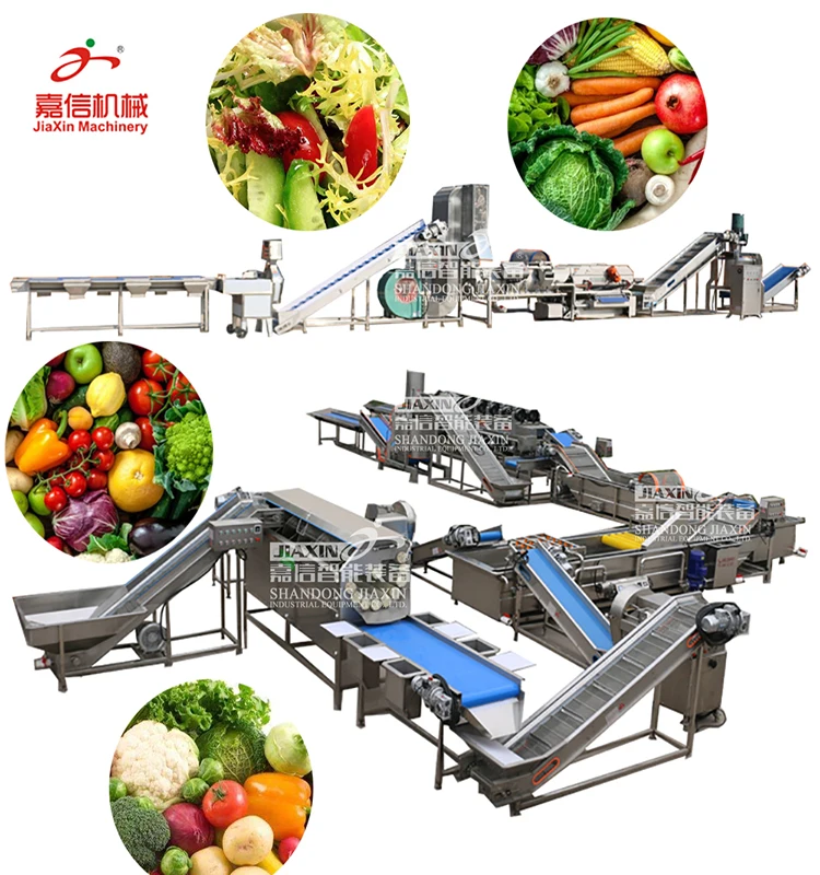 Industry used vegetable processing machine