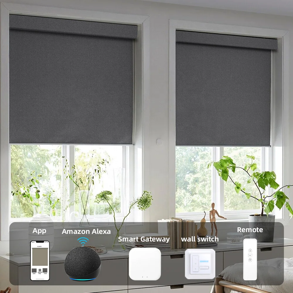 Customized Blackout Wifi Control Shades Dual Tuya Zigbee Electric Motor Window Motorized Day And