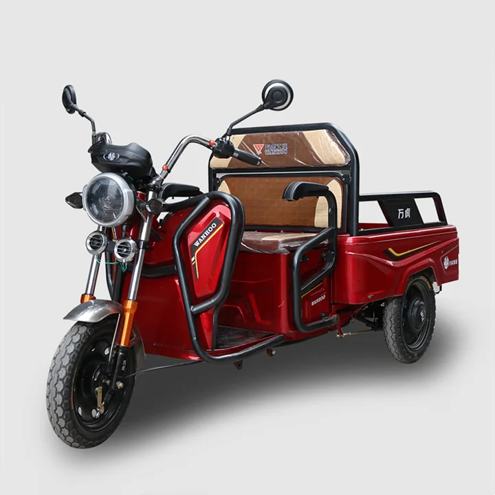 China 2021 Hot Sale Electric Cargo 