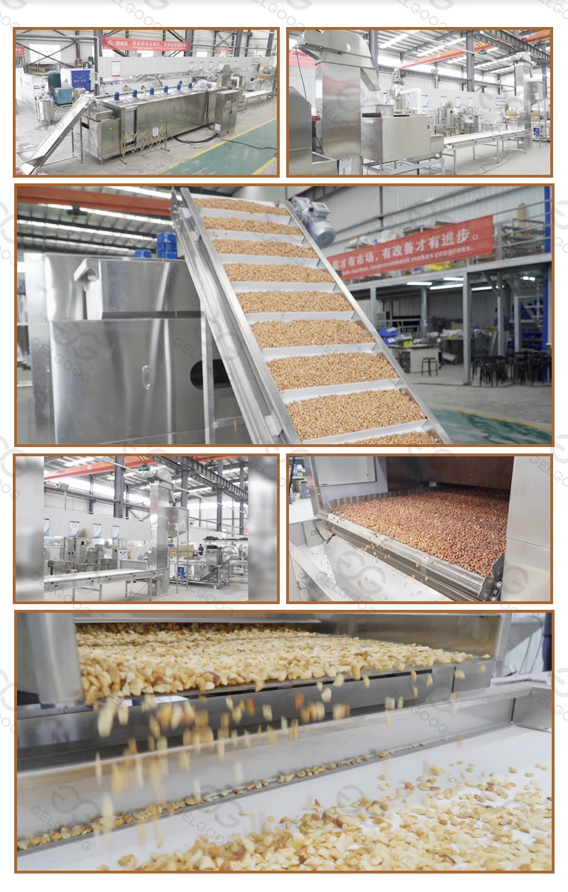 Macadamia Crushing Walnut Crusher Almond Dicing Cashew Nut Cutting Bean Chopping Machine Walnuts Chopper and Crusher