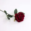 Rosa de terciopelo [Borgoña]