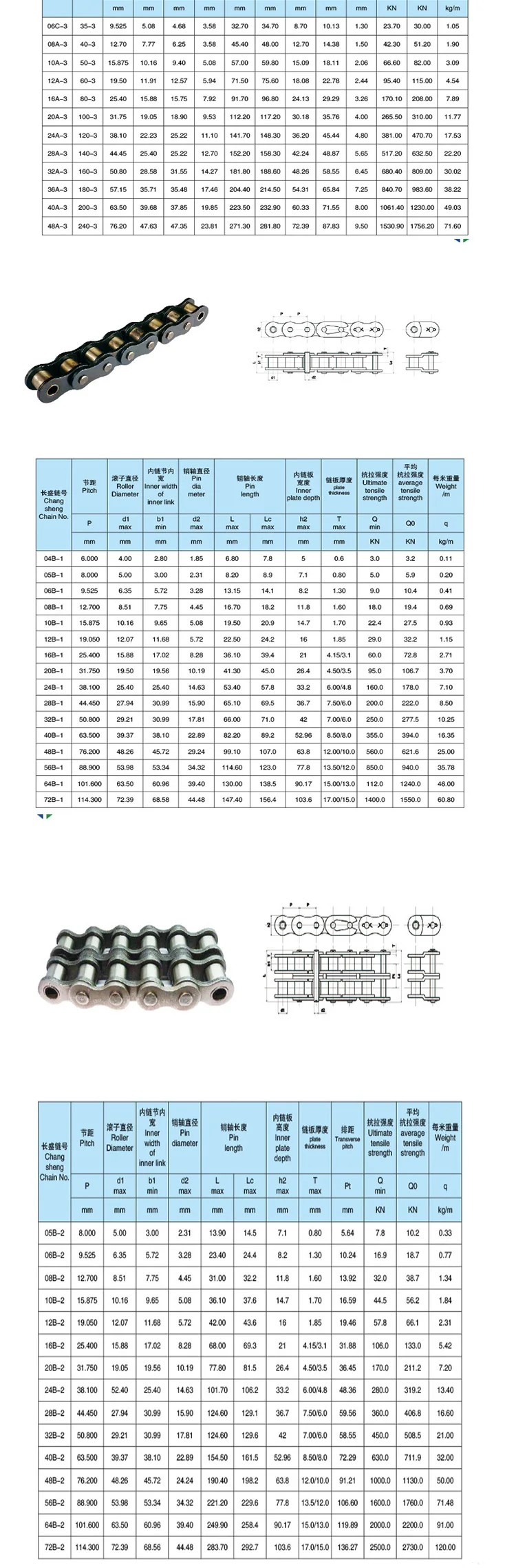 Trans Chain_01 (3)