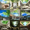 Plafond naturel