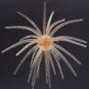C002