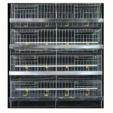 4 Tiers 2 Doors 100-300 Birds Capacity Baby Chicken Cage Automatic Drinking System In Philippines Farm