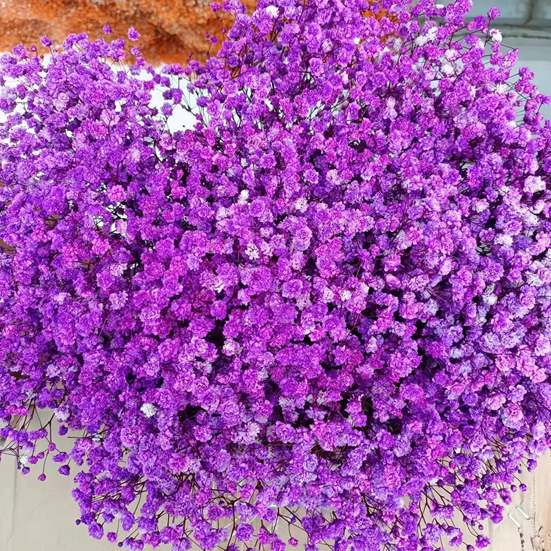 product preserved baby breath gypsophila dried flowers for wedding party or home table decor for christmas valentines day or easter-61