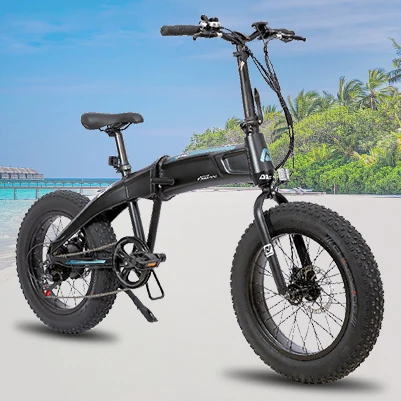Mountain Folding Fat Tire Electric Bike 