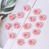 A-202 Pink 1