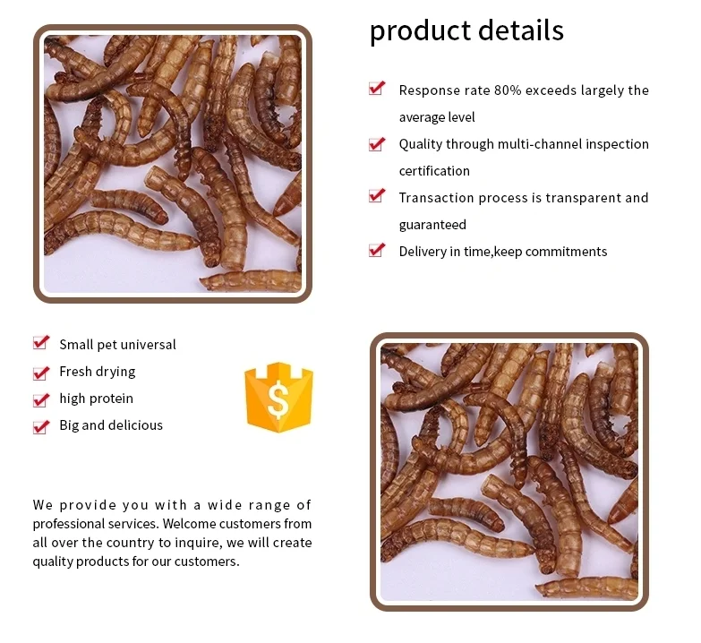 Fresh Dried Mealworm For Aquarium Fish Feed,Bird Food,,Dry Food Buy