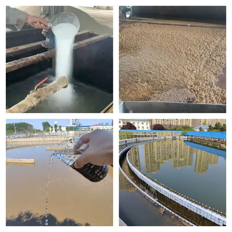 Reach SVHC Production Price Anionic/cationic/nonionic Polyacrylamide Powder Flocculant Poliacrilamida Pam for WasteWater Treat