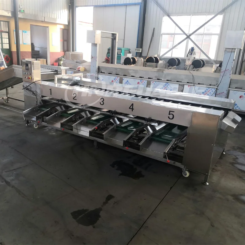 Blueberry Fruit Sorting Grading Machine with Motor Food Grade Stainless Steel 1-3 Tons/Hour Capacity