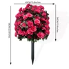 Azalea - Rosa