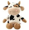 Mucca