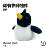 Magpie-sings-imitates speech-flaps wings-can talk