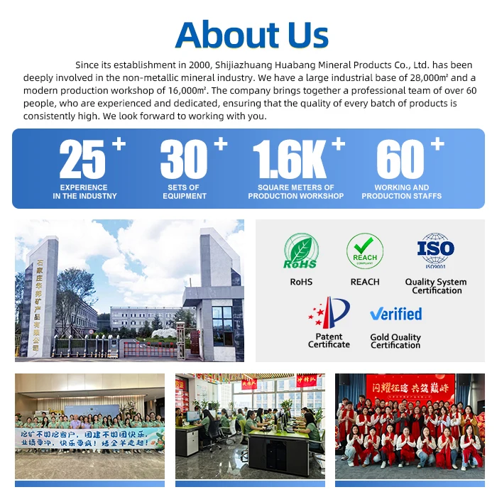 Company overview