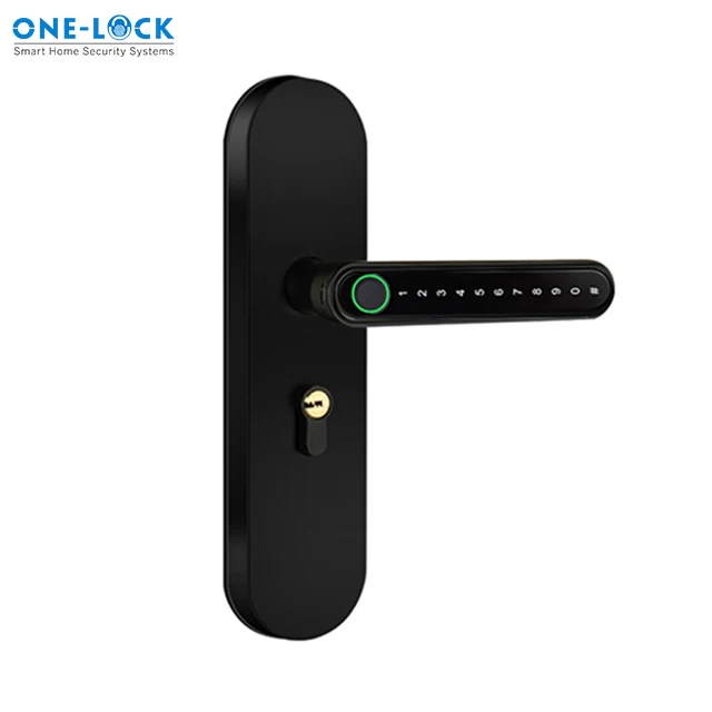 TTLOCK Single Handle Apartment Smart Fingerprint Lock