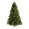Christmas Light Tree
